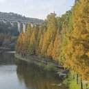 용소웰빙공원 이미지