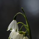 문수스크린골프연습장 이미지