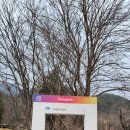 용문사 일주문 | [ 경기도 가볼만한곳 ] 양평 여행 필수코스 용문산관광단지 용문산 유명사찰 용문사