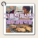 7269 | [고흥맛집] 고흥천계산장 앵무새와 먹방 즐긴 날! 🦜🍖