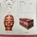 건양정문약국 | 대전 얼굴관리 끌리메 대전점 작은얼굴관리 솔직후기