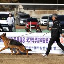Gumiland 이미지
