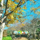 금병공원 유아숲체험원 이미지