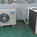 사파동410 이미지