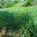 갯벌이야기펜션 이미지