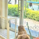 무병짱수 이미지