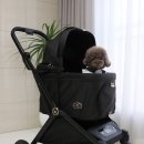 글로리아 켄넬 이미지