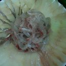 금호횟집 이미지