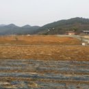 용원농장 이미지