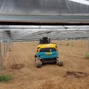 고덕면017 이미지