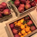 달푸르츠 이미지