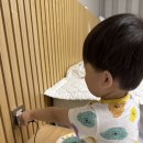 사용하지 않는 플러그 뽑기 - 토리반 심은호 이미지