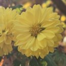 (주)영진연구지원점 이미지