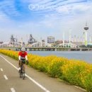 형산강자전거길 이미지