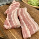 엉터리생고기 이미지