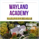 (주)아라스쿨 이미지