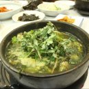 울산정자참가자미 이미지