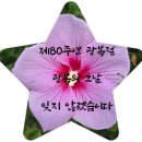 버스정류장 : 무궁화아파트앞 | 광복 80주년 무궁화 그리고 K-뷰티 이야기