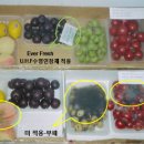 미래바이오유통