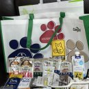 동물병원 다움 | 2025 SETEC 궁디팡팡 캣페스타 농심 반려다움 팝업 알바 후기