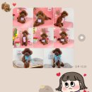 꼬맹이네 멍발소 이미지