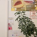 와플대학 수유캠퍼스 | [광주 선운지구 디저트 추천] 와플대학 광주호남대캠퍼스 이용후기 (사과잼와플, 바닐라젤라또)