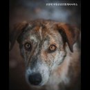 신현대 공인중개사사무소 이미지