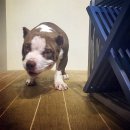 우소농장 이미지