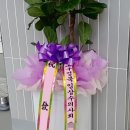 더문 동물병원 이미지