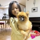 쿠마쿠마 이미지