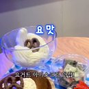 과일담은요거트맛집 이미지