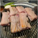 바다를 품은 돼지 이미지