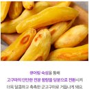 자연당 | [한채원 무농약 군고구마 15개 대용량 세트 가성비 프로모션가 단점 후기]