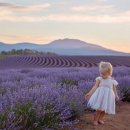 장기농장 이미지