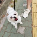 동암동물병원 이미지