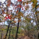 사창리마을회 이미지