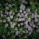 유수정행정사사무소 이미지