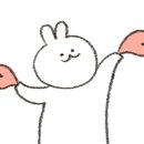 플러스 애견미용실 이미지