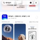 카니발 하이리무진 중고차 팔기, 헤이딜러 앱 후기 (테슬라 전기차로 갈아탄 이야기)