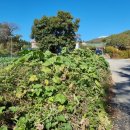 갈담2리 이미지