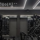 더그레이짐 이미지