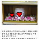 학천사 | 새해 봉안당 납골당꽃, 바닥 꽃장식 추모 꽃 꾸미기