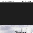 314009 이미지