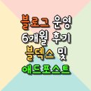 해아유치원 | 네이버 블로그 6개월 운영 후기 : 블덱스 및 애드포스트