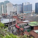 The바른공인중개사사무소 이미지