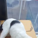 사명복싱 통합센터 이미지