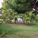 미하스빌1 이미지