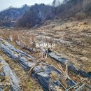 자연부동산컨설팅공인중개사사무소 이미지