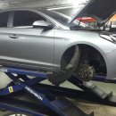 프로카센타 이미지