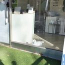 알콩달콩 애견미용실 | 부천 강아지 미용실 추천 🐶 아워퍼피에서 시원하게 목욕하고 이쁘게 컷트했어요